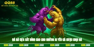 Đá Gà Cựa Sắt - Đỉnh Cao Cho Những Ai Yêu Cá Cược Chọi Gà